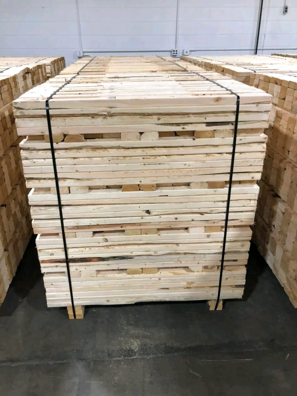 WhatsApp Image 2026-01-30 at 21.25.59