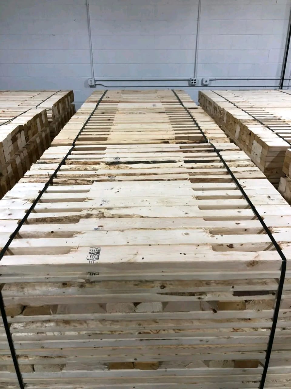 WhatsApp Image 2026-01-30 at 21.26.00