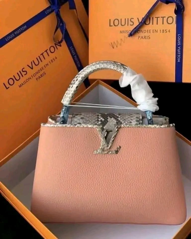Loius Vuitton bags1