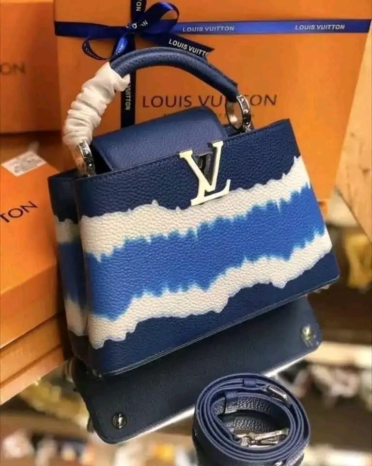 Loius Vuitton bags2