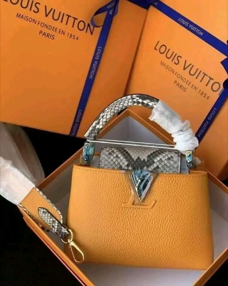 Loius Vuitton bags3