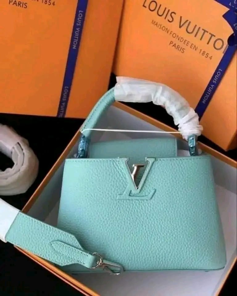 Loius Vuitton bags4