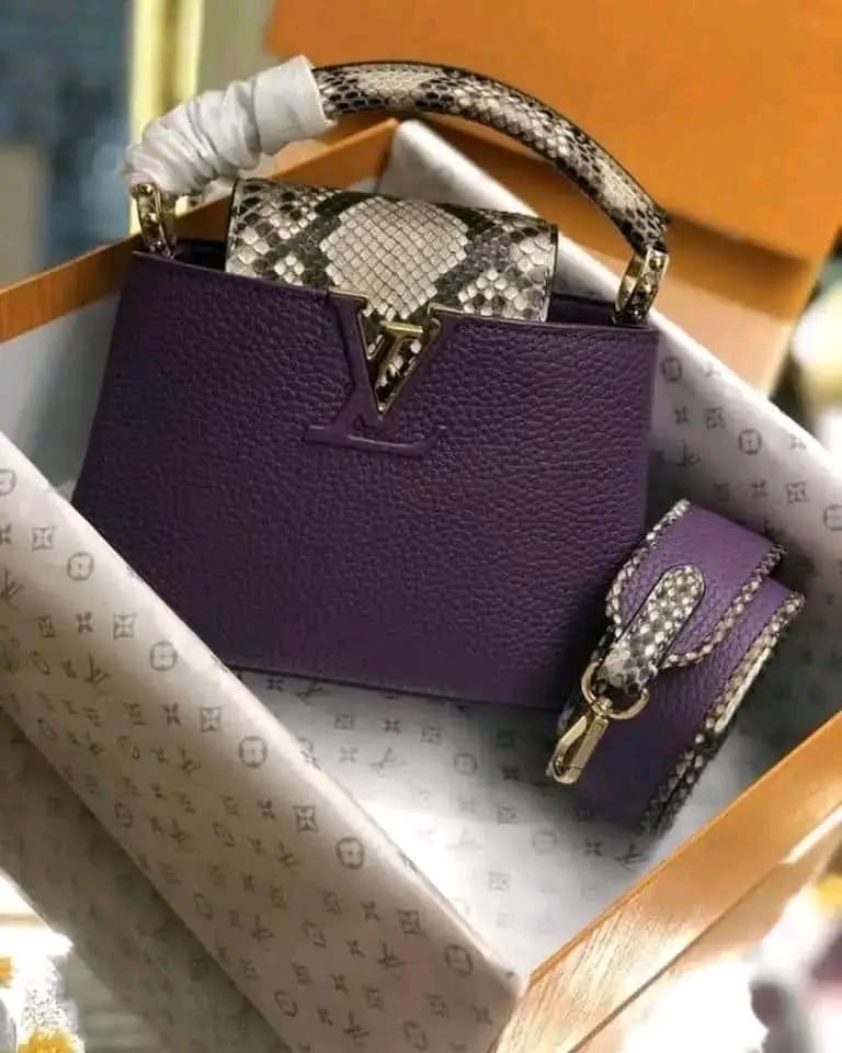 Loius Vuitton bags5